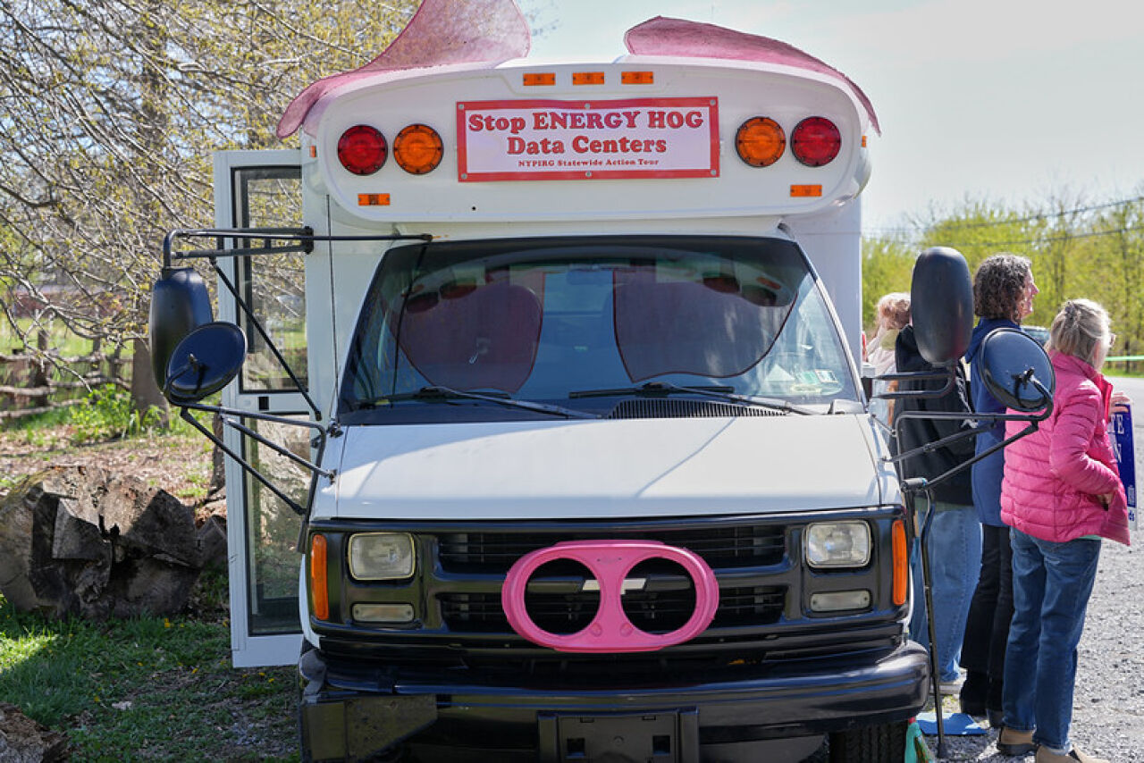Porcine Protest Calls Out 'Energy Hogs'