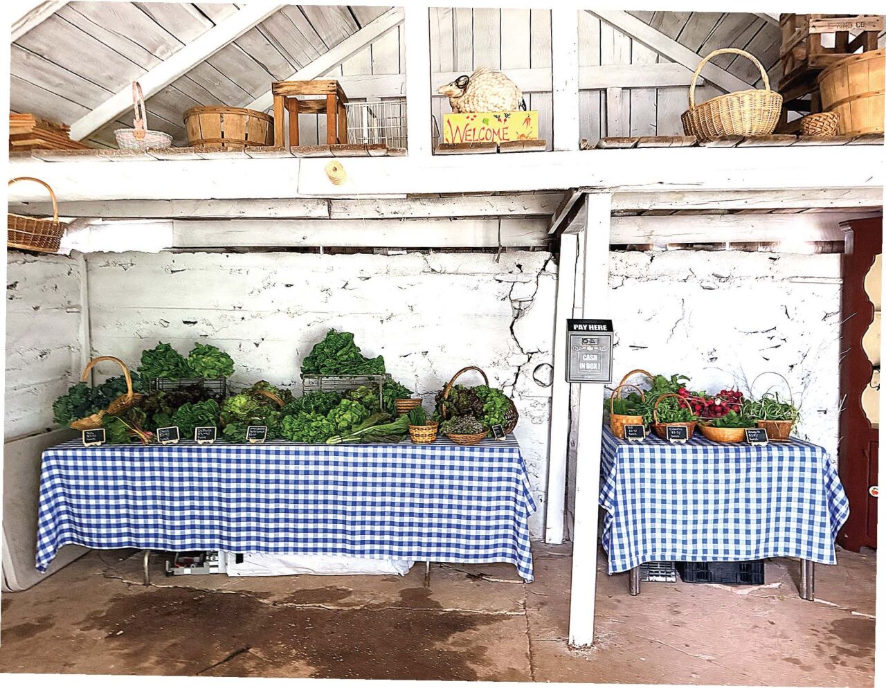 Gael Roots farm stand features affordable prices