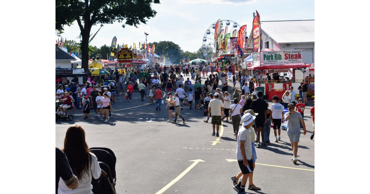 Felonies Follow Fight at Fair