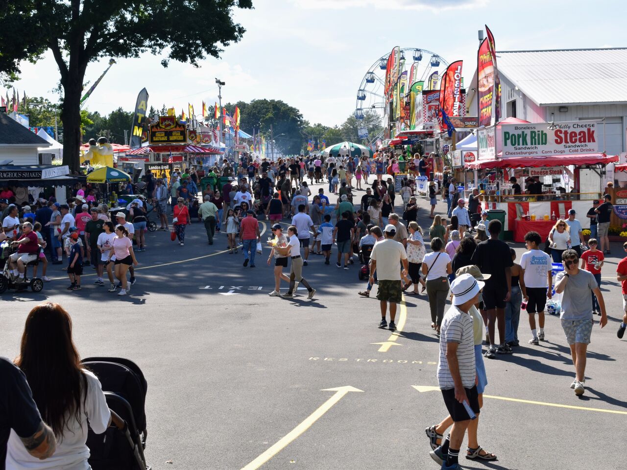 Felonies Follow Fight at Fair