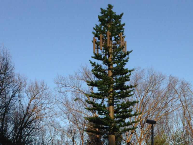 A tree tower of the type to go up in Rochester.