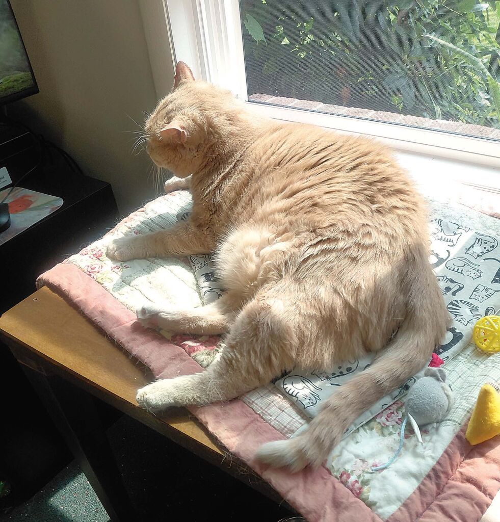 Lazy days in the sun at the LMR Library