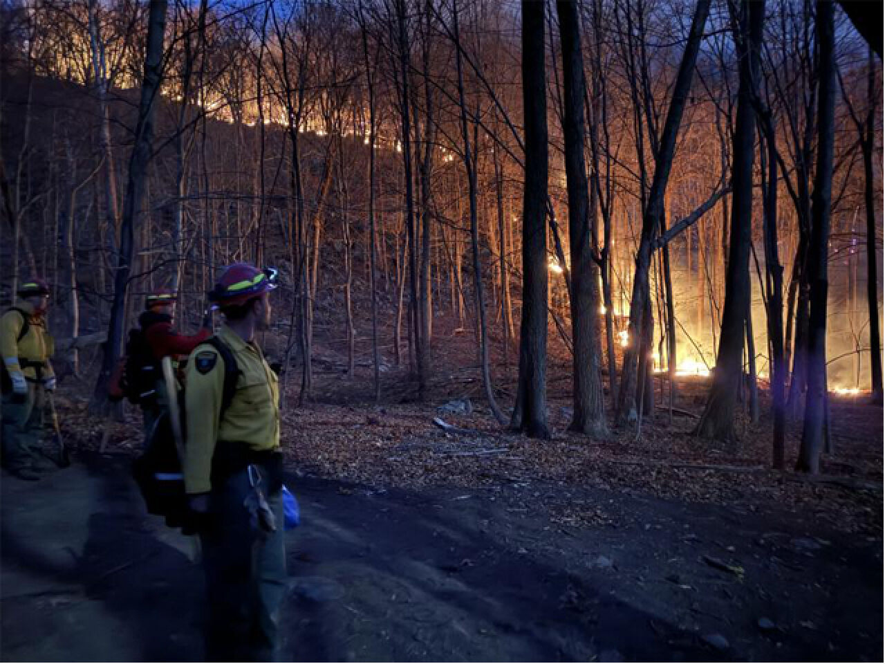 Northeast Burning: It’s How We Use the Land