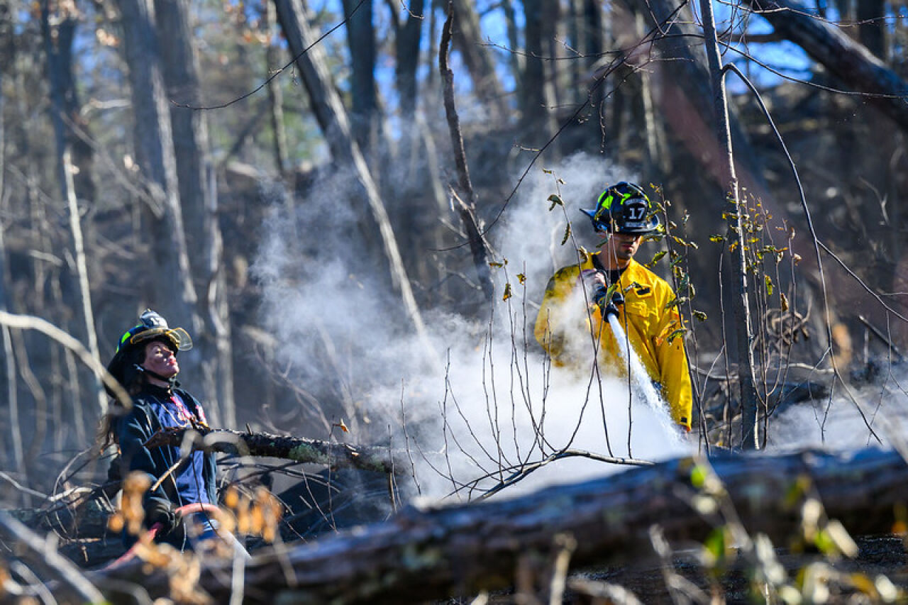 New York AG Warns of Wildfire Relief Scams