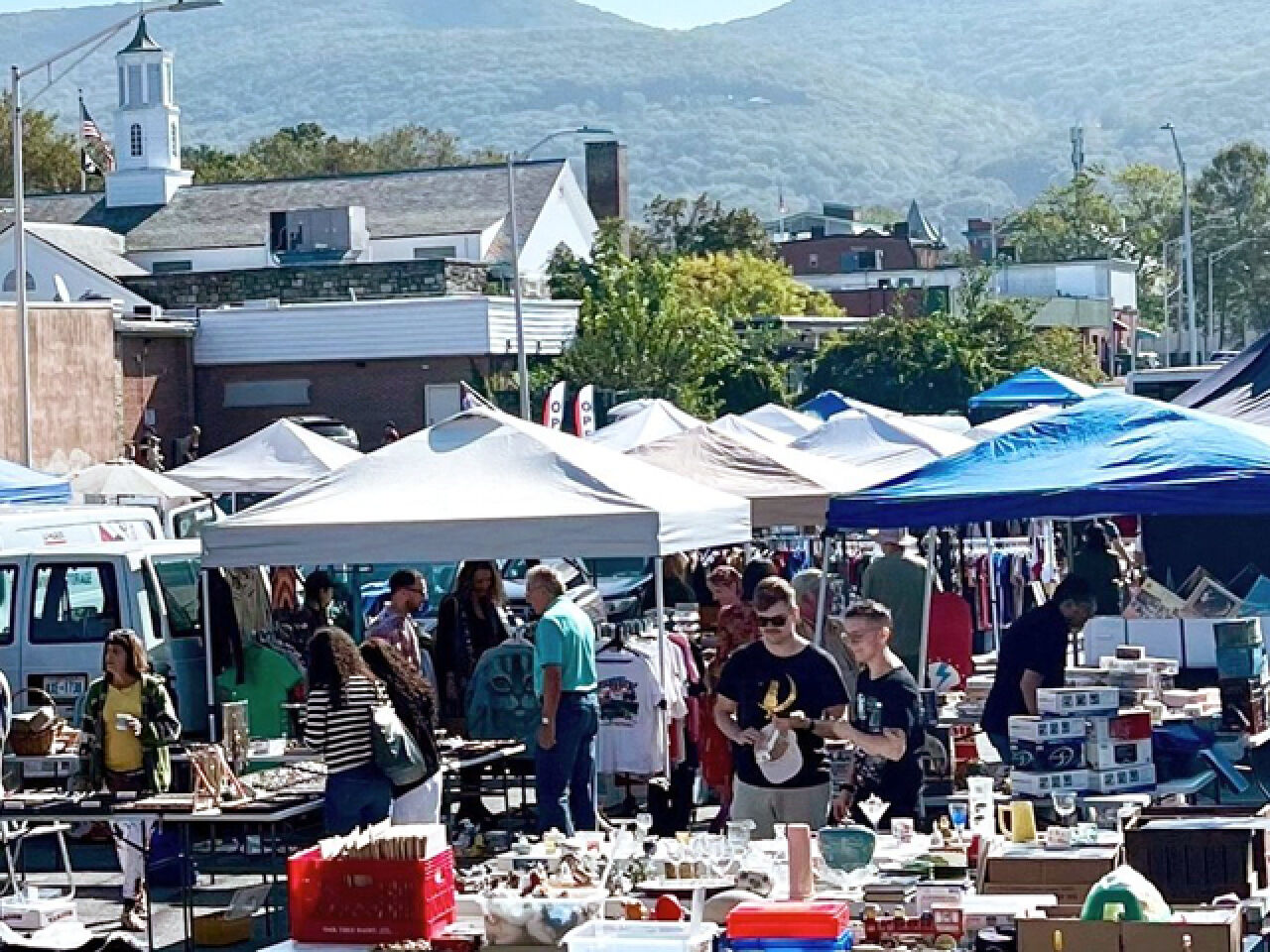 Flea Market Coming to Mamakating?