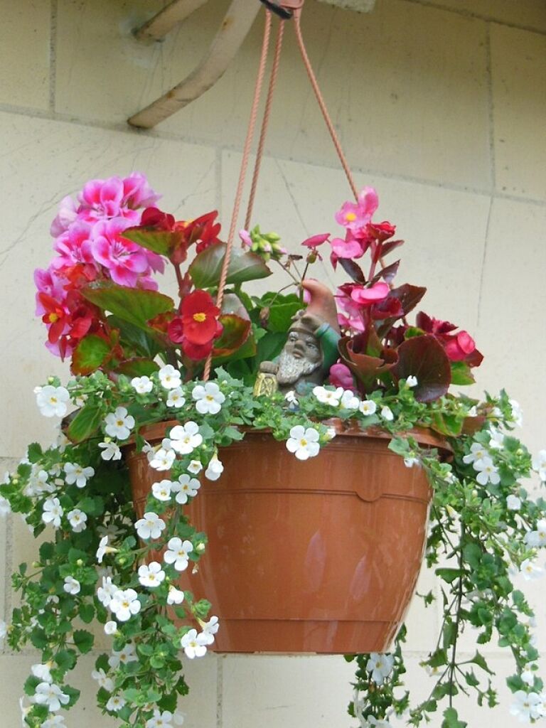 Mother’s Day Plant Sale